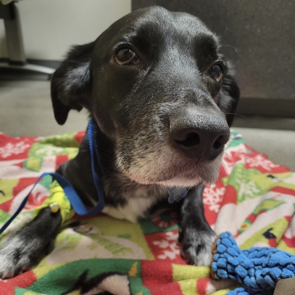 Meet AL & Leo - Picture 4 of 4